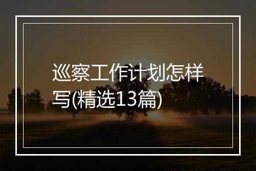 巡察工作计划怎样写(精选13篇)
