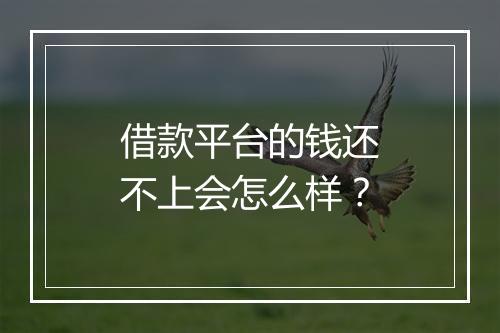 借款平台的钱还不上会怎么样？
