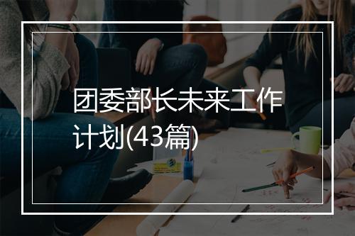 团委部长未来工作计划(43篇)