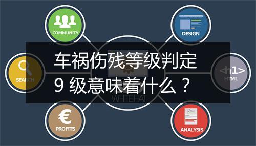 车祸伤残等级判定 9 级意味着什么？