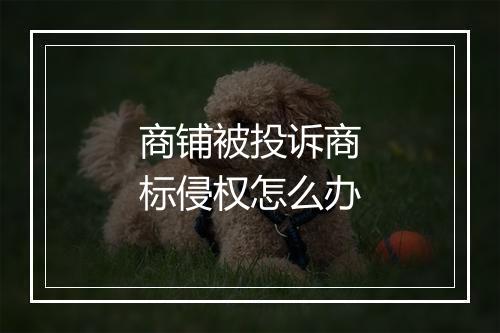 商铺被投诉商标侵权怎么办