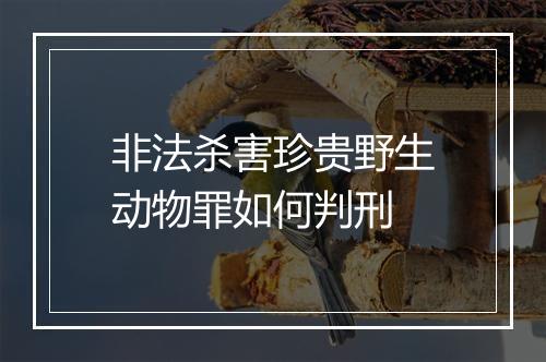 非法杀害珍贵野生动物罪如何判刑