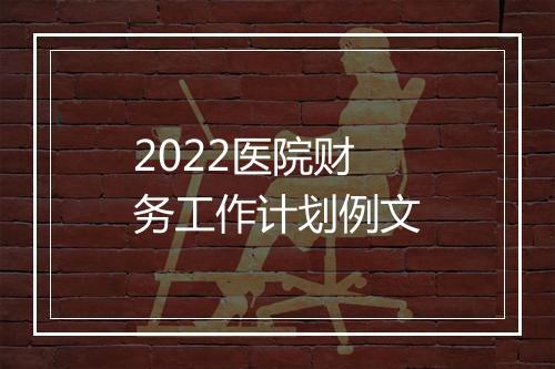 2022医院财务工作计划例文