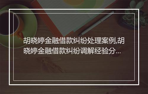 胡晓婷金融借款纠纷处理案例,胡晓婷金融借款纠纷调解经验分享