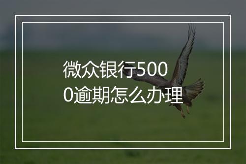 微众银行5000逾期怎么办理