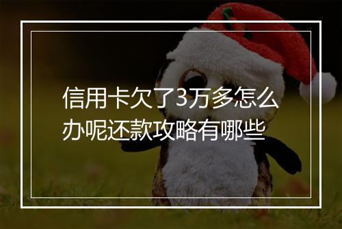 信用卡欠了3万多怎么办呢还款攻略有哪些