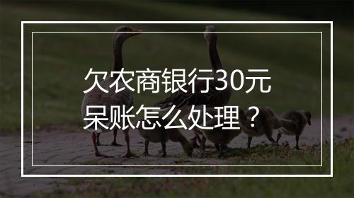 欠农商银行30元呆账怎么处理？