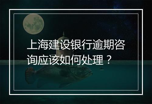 上海建设银行逾期咨询应该如何处理？
