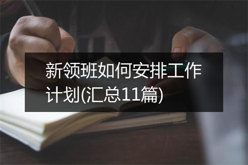 新领班如何安排工作计划(汇总11篇)
