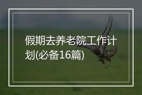 假期去养老院工作计划(必备16篇)