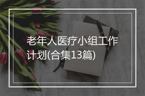 老年人医疗小组工作计划(合集13篇)