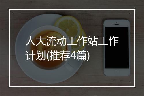 人大流动工作站工作计划(推荐4篇)