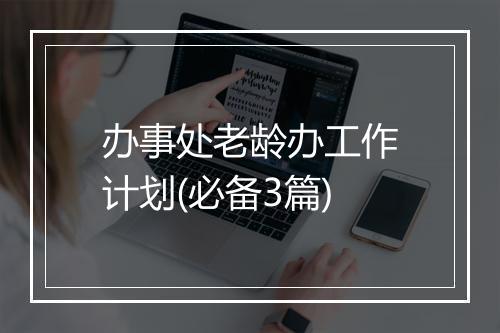 办事处老龄办工作计划(必备3篇)