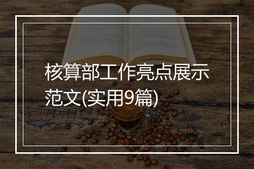 核算部工作亮点展示范文(实用9篇)