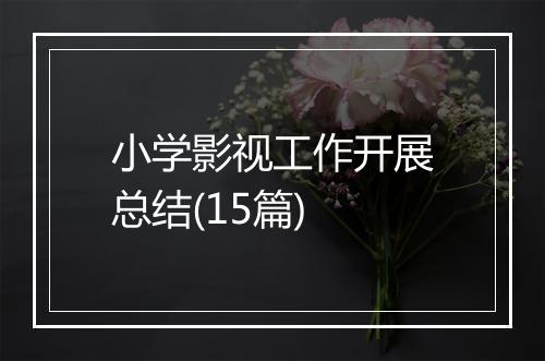 小学影视工作开展总结(15篇)