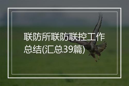 联防所联防联控工作总结(汇总39篇)