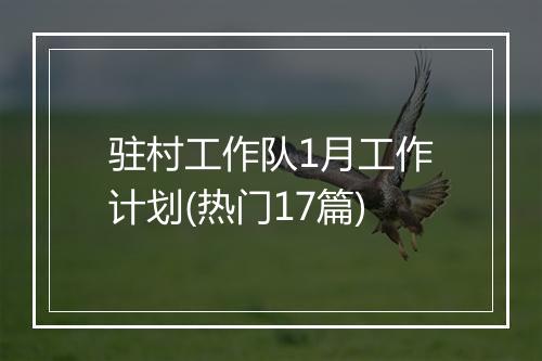 驻村工作队1月工作计划(热门17篇)