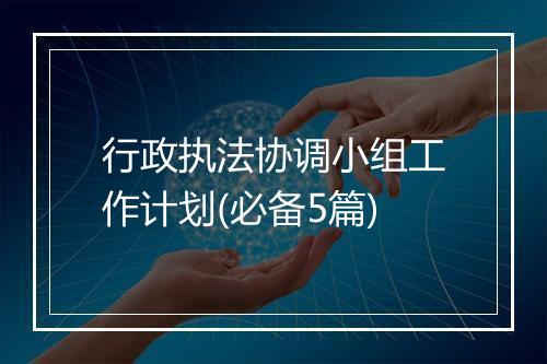 行政执法协调小组工作计划(必备5篇)