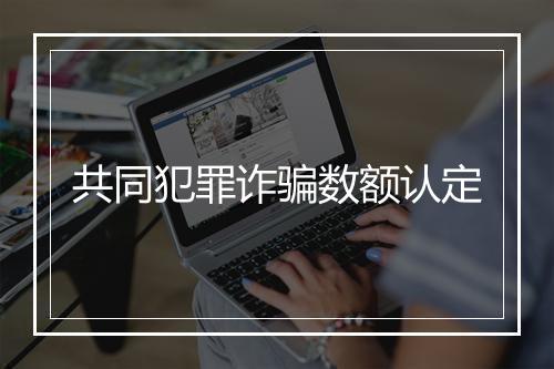 共同犯罪诈骗数额认定