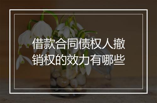 借款合同债权人撤销权的效力有哪些