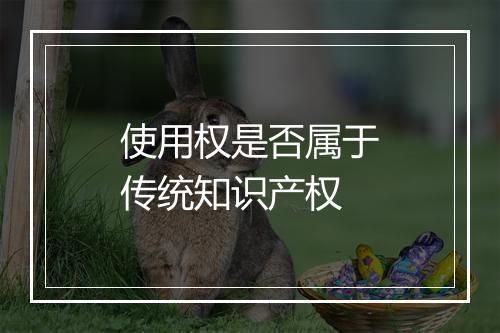 使用权是否属于传统知识产权
