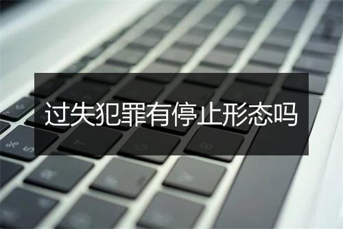 过失犯罪有停止形态吗