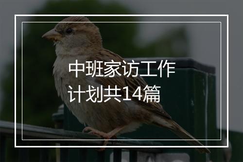 中班家访工作计划共14篇