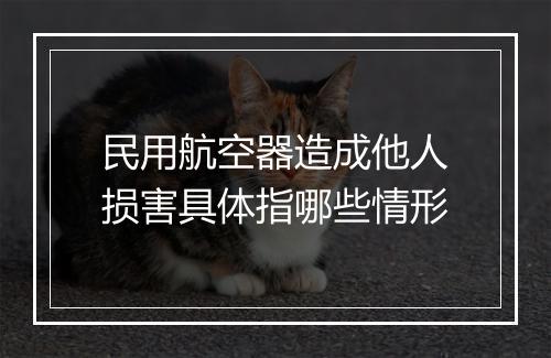 民用航空器造成他人损害具体指哪些情形