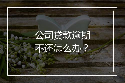 公司贷款逾期不还怎么办？