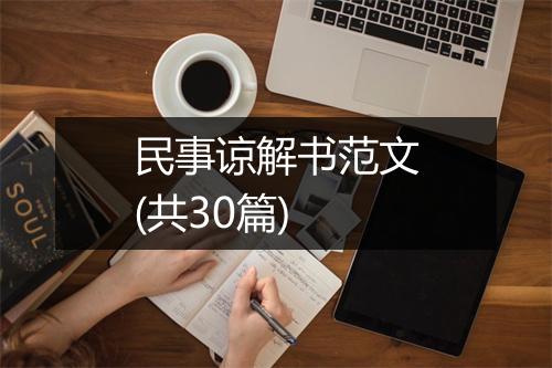 民事谅解书范文(共30篇)