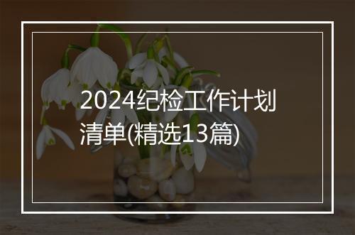 2024纪检工作计划清单(精选13篇)