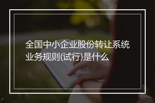 全国中小企业股份转让系统业务规则(试行)是什么