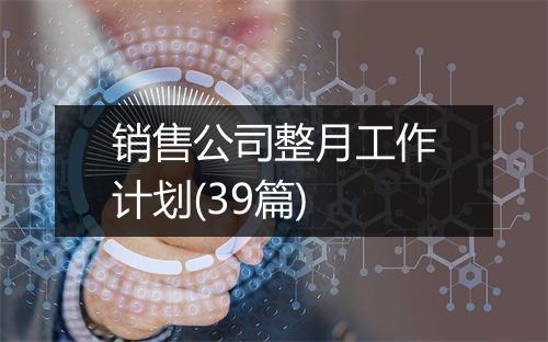 销售公司整月工作计划(39篇)