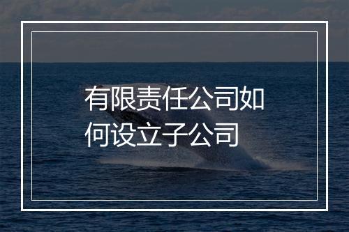 有限责任公司如何设立子公司