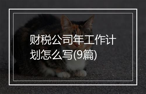 财税公司年工作计划怎么写(9篇)