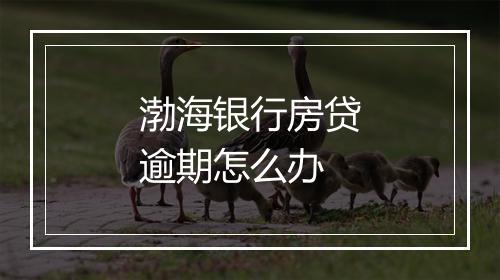 渤海银行房贷逾期怎么办