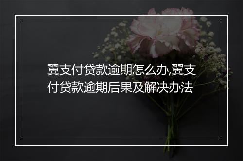 翼支付贷款逾期怎么办,翼支付贷款逾期后果及解决办法