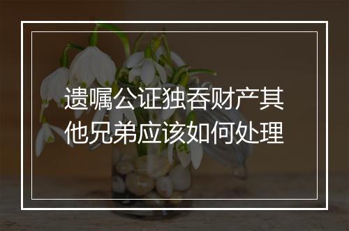 遗嘱公证独吞财产其他兄弟应该如何处理