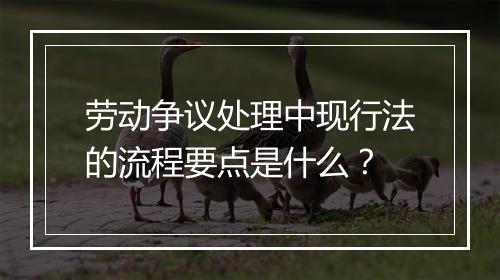 劳动争议处理中现行法的流程要点是什么？