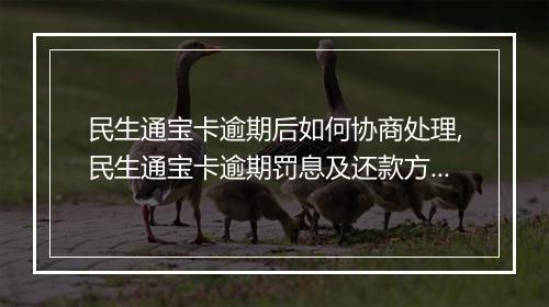 民生通宝卡逾期后如何协商处理,民生通宝卡逾期罚息及还款方式