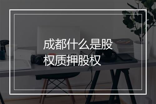 成都什么是股权质押股权