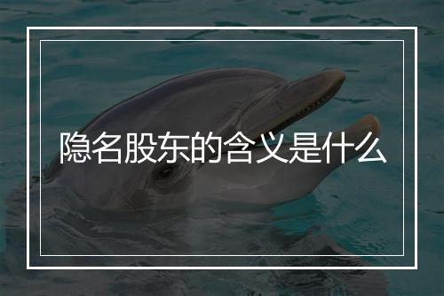 隐名股东的含义是什么