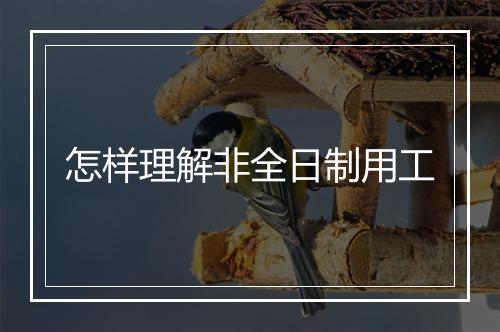 怎样理解非全日制用工