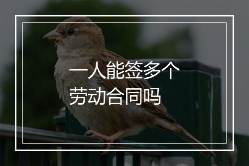 一人能签多个劳动合同吗