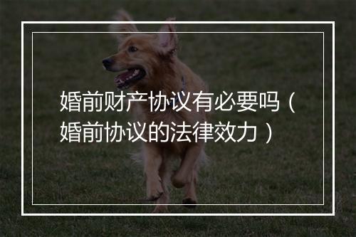 婚前财产协议有必要吗（婚前协议的法律效力）