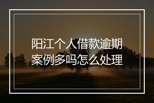 阳江个人借款逾期案例多吗怎么处理