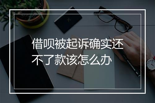 借呗被起诉确实还不了款该怎么办