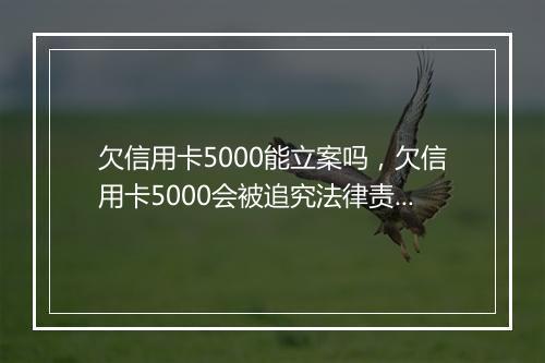 欠信用卡5000能立案吗，欠信用卡5000会被追究法律责任吗