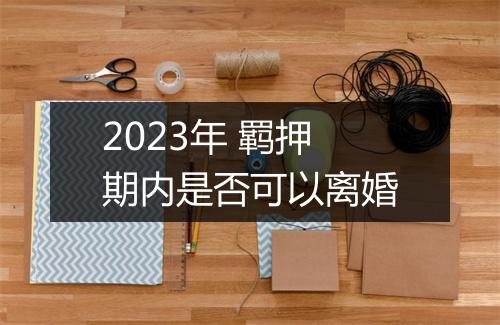 2023年 羁押期内是否可以离婚