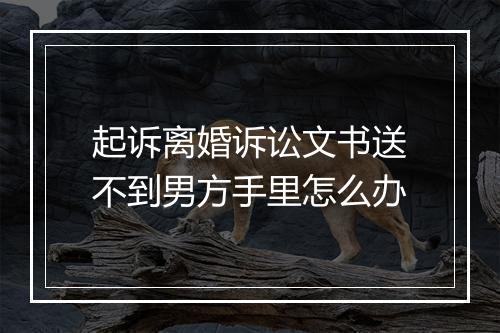 起诉离婚诉讼文书送不到男方手里怎么办